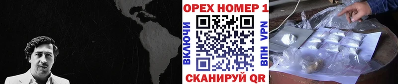 Купить закладки  Олёкминск  Кокаин FishScale 
