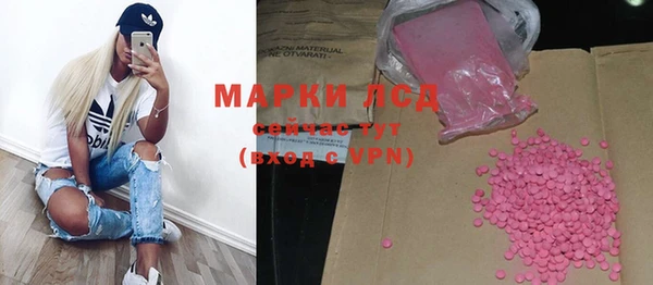 мдпв Богородск