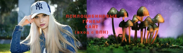 скорость Бронницы