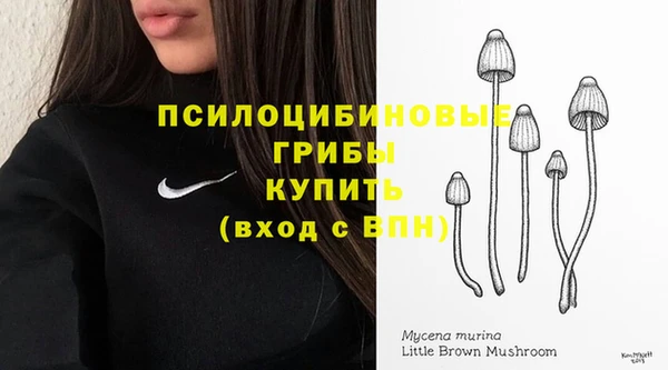 мдпв Богородск