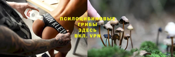 таблы Богородицк