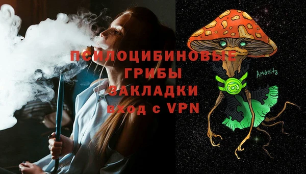 spice Бугульма