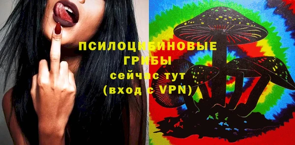 скорость Бронницы