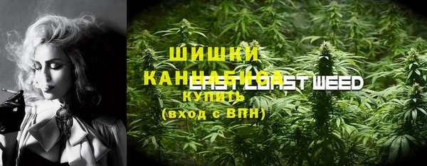 мдпв Богородск