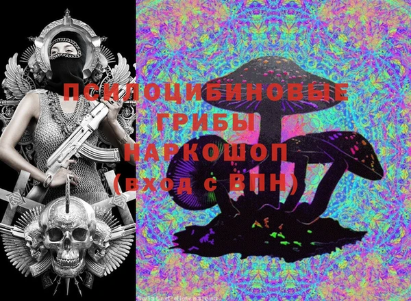 таблы Богородицк