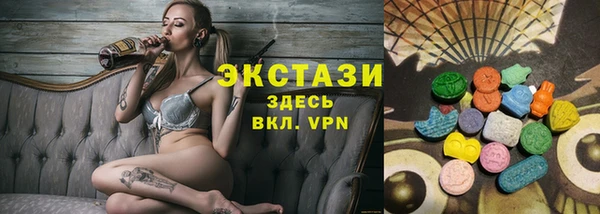 мдпв Богородск