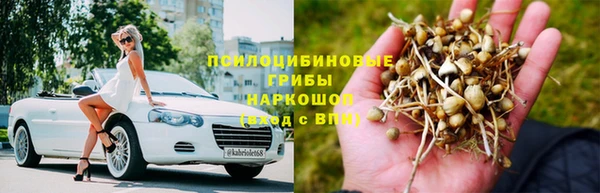 spice Бугульма