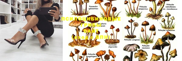 каннабис Бородино